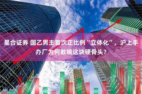 星合证券 国乙男主首次正比例“立体化”，沪上手办厂为何敢啃这块硬骨头？